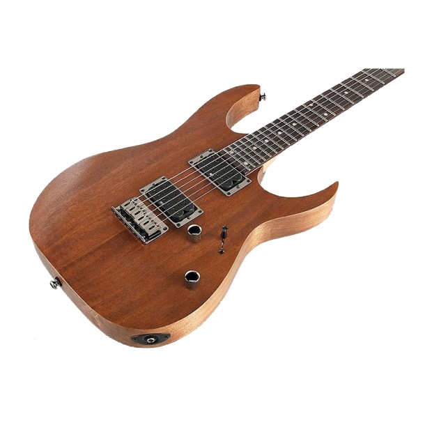 گیتار الکتریک آیبانز IBANEZ RG421 MOL