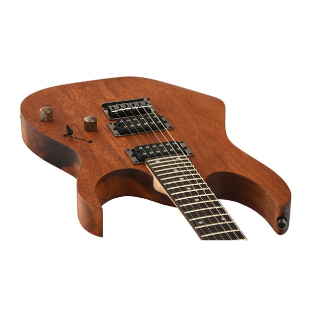 گیتار الکتریک آیبانز IBANEZ RG421 MOL