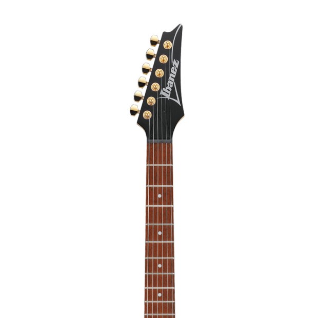 گیتار الکتریک آیبانز Ibanez RG421G LBM