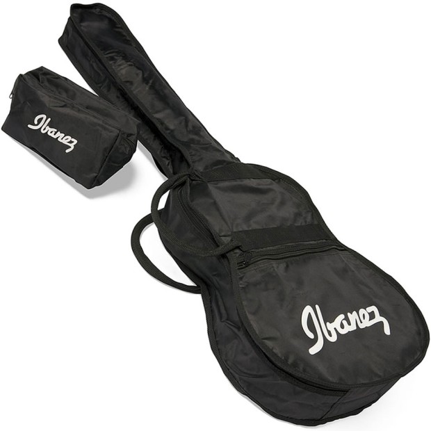 گیتار آکوستیک آیبانز IBANEZ V50NJP BK Package