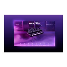 قیمت خرید فروش وی اس تی  نیتیو اینسترومنتز Native instruments Alicia's Keys Electric Keys