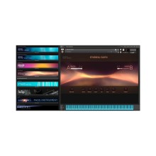 قیمت خرید فروش وی اس تی نیتیو اینسترومنتز Native Instruments Ethereal Earth