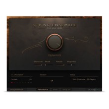 قیمت خرید فروش وی اس تی پلاگین نیتیو اینسترومنتز Native Instruments String Ensemble