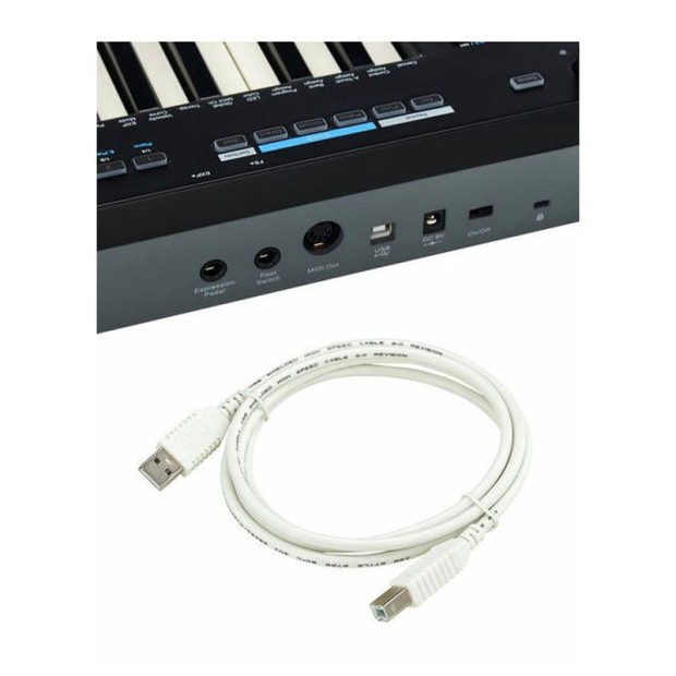 میدی کنترلر نکتار Nektar Impact GXP49
