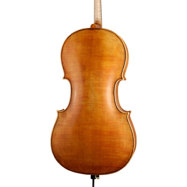 ویولن | ویولون سل رودریچ Roderich Paesold PA602C
