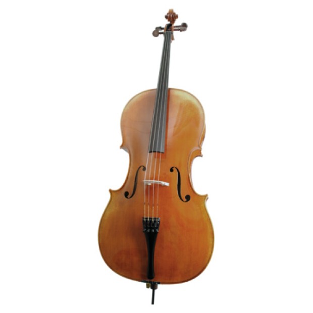 ویولن | ویولون سل رودریچ Roderich Paesold PA603E