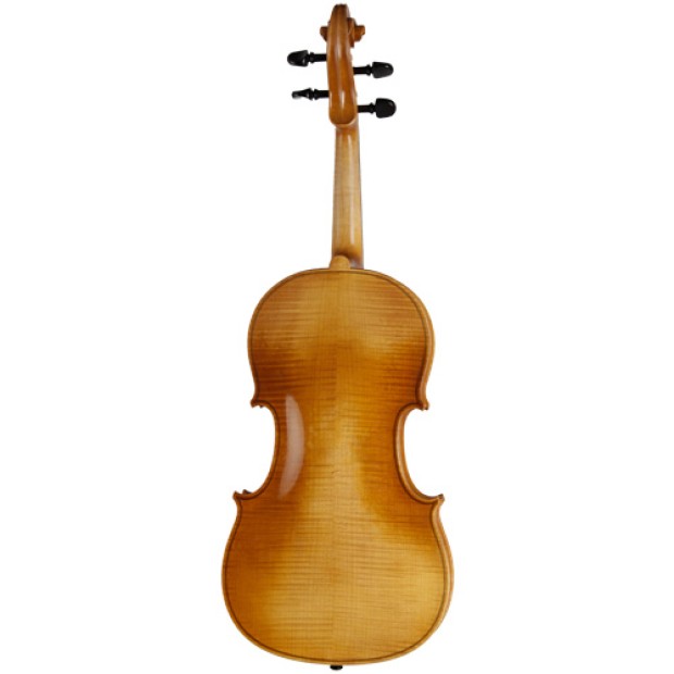 ویولا رودریچ Roderich Paesold PA702E
