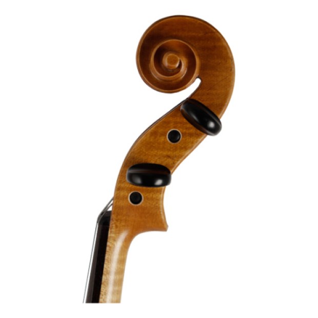 ویولا رودریچ Roderich Paesold PA702E