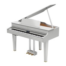 قیمت خرید فروش پیانو دیجیتال رولند Roland GP607 White