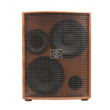 قیمت خرید فروش آمپلی فایر گیتار شرتلر Schertler Jam 400 Wood