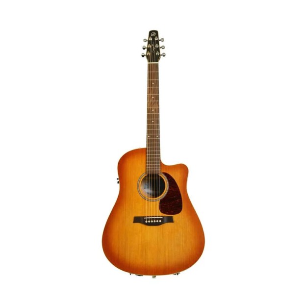 گیتار آکوستیک سیگال Seagull Entourage Rustic CW QI