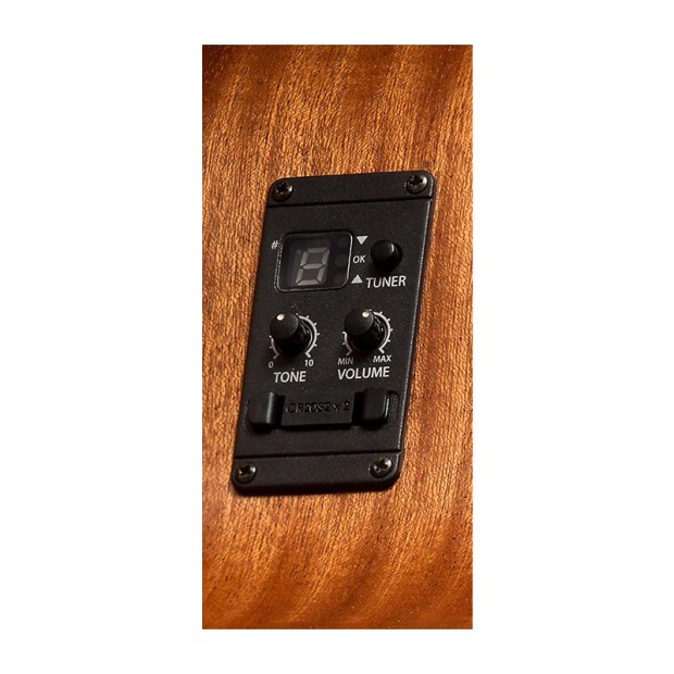 گیتار آکوستیک تیلور Taylor Academy 12e