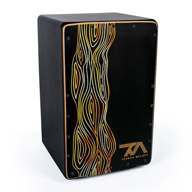 کاخن تی ام گروپ TM Group Cajon 001