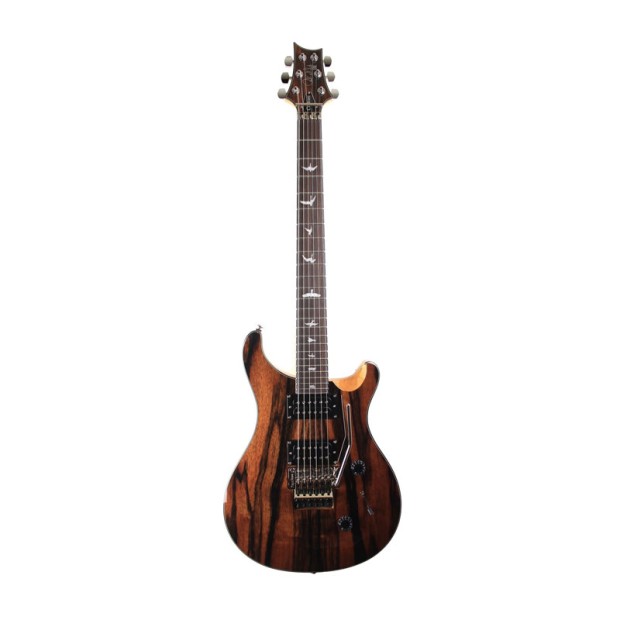 گیتار الکتریک پی آر اس PRS SE Custom 24 Floyd Ebony Ltd. Edition
