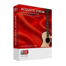 قیمت خرید فروش وی اس تی پلاگین Ilya Efimov Production Ilya Efimov Production Acoustic Strum