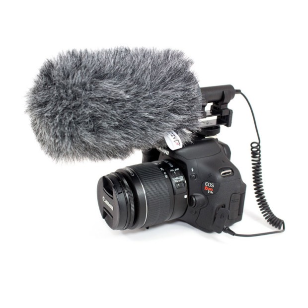 میکروفن شات گان آزدن Azden SGM-250CX + SWS-100