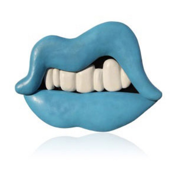 وی اس تی پلاگین نیتیو اینسترومنتز Native Instruments The Mouth 1.3.0