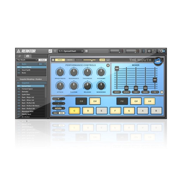 وی اس تی پلاگین نیتیو اینسترومنتز Native Instruments The Mouth 1.3.0