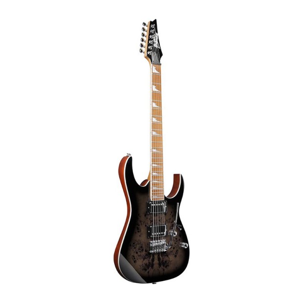 گیتار الکتریک آیبانز Ibanez GRG220PA1 BKB