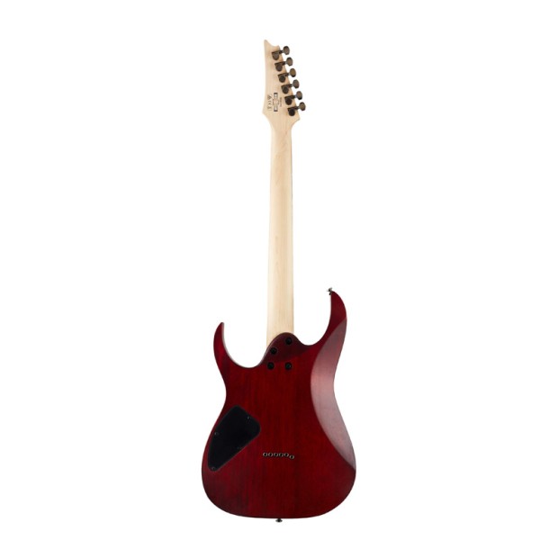 گیتار الکتریک آیبانز Ibanez RG421PB CHF