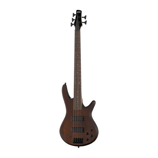گیتار الکتریک آیبانز Ibanez GSR205B WNF