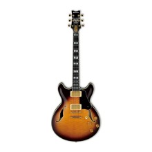 گیتار الکتریک آیبانز Ibanez JSM100 VT