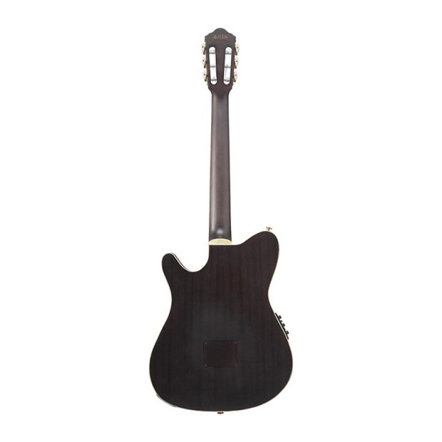 گیتار کلاسیک آیبانز Ibanez TOD10N TKF