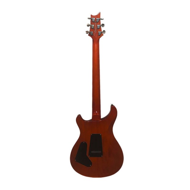 گیتار الکتریک پی آر اس PRS SE Custom 24 Limited Edition Zebrawood