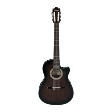 قیمت خرید فروش گیتار کلاسیک آیبانز Ibanez GA35TCE DVS