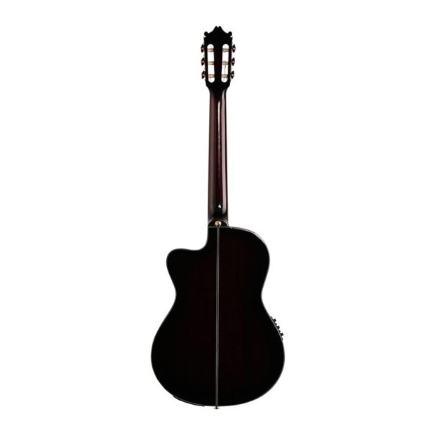گیتار کلاسیک آیبانز Ibanez GA35TCE DVS