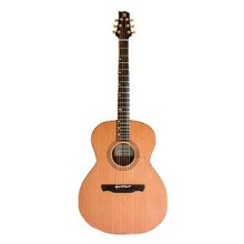 قیمت خرید فروش گیتار آکوستیک الحمرا Alhambra A-1