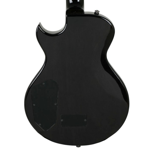 گیتار آکوستیک آیبانز IBANEZ ART320 TGB