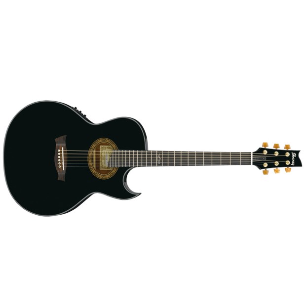 گیتار آکوستیک آیبانز IBANEZ EP5 BP