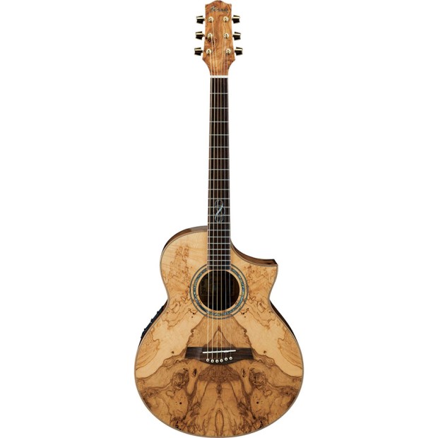 گیتار آکوستیک آیبانز IBANEZ EW35ABE NT