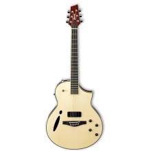 قیمت خرید فروش گیتار آکوستیک آیبانز IBANEZ MSC350 NT