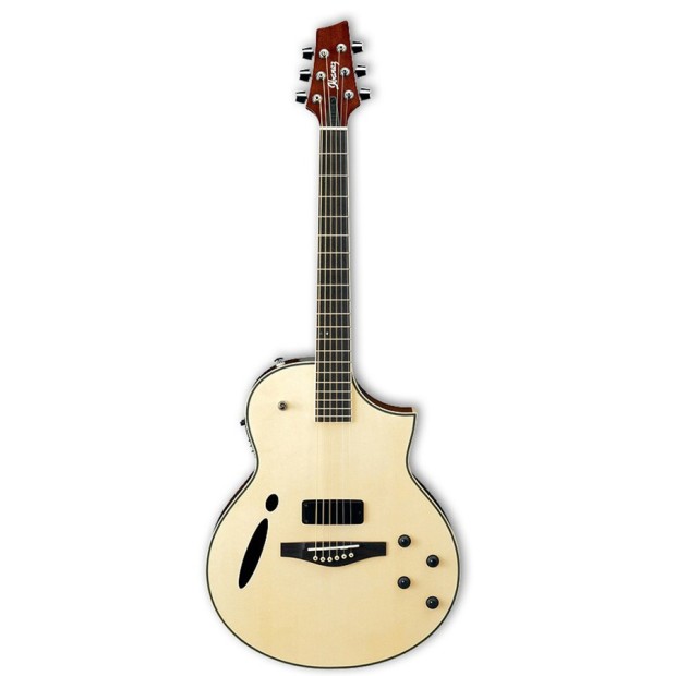 گیتار آکوستیک آیبانز IBANEZ MSC350 NT