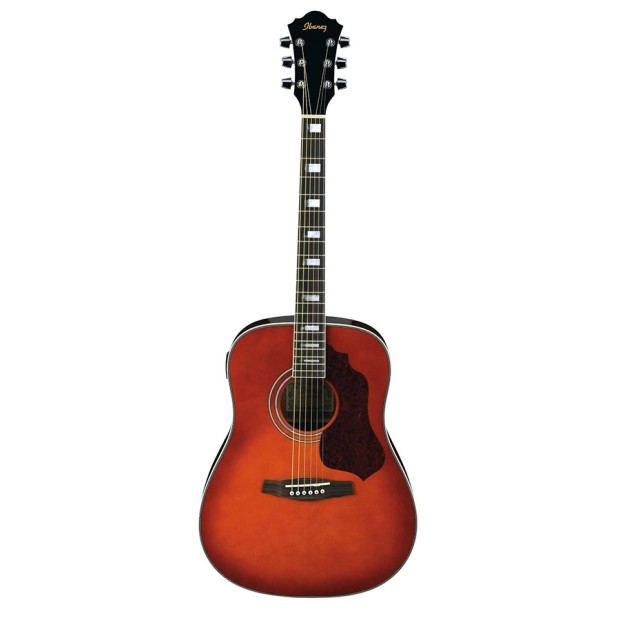 گیتار آکوستیک آیبانز IBANEZ SGT120E HS