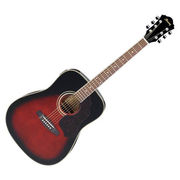 گیتار آکوستیک آیبانز IBANEZ SGT120E VBS