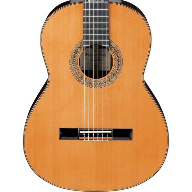 گیتار کلاسیک آیبانز IBANEZ G850 NT