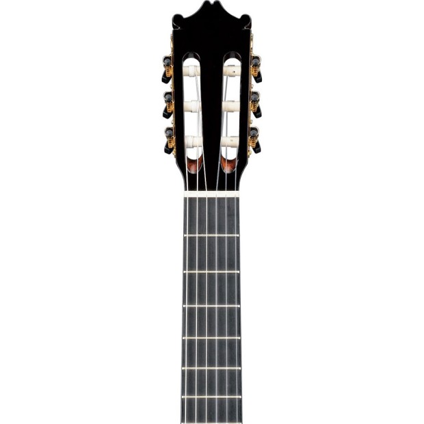 گیتار کلاسیک آیبانز IBANEZ G850 NT