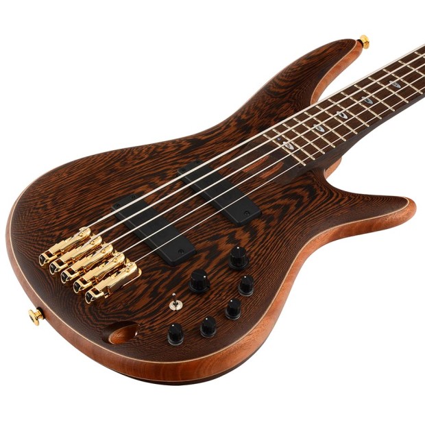 گیتار بیس آیبانز IBANEZ SR5005E