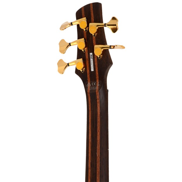 گیتار بیس آیبانز IBANEZ SR5005E
