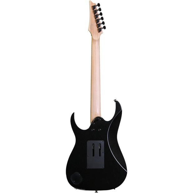 گیتار الکتریک آیبانز IBANEZ RG655GK