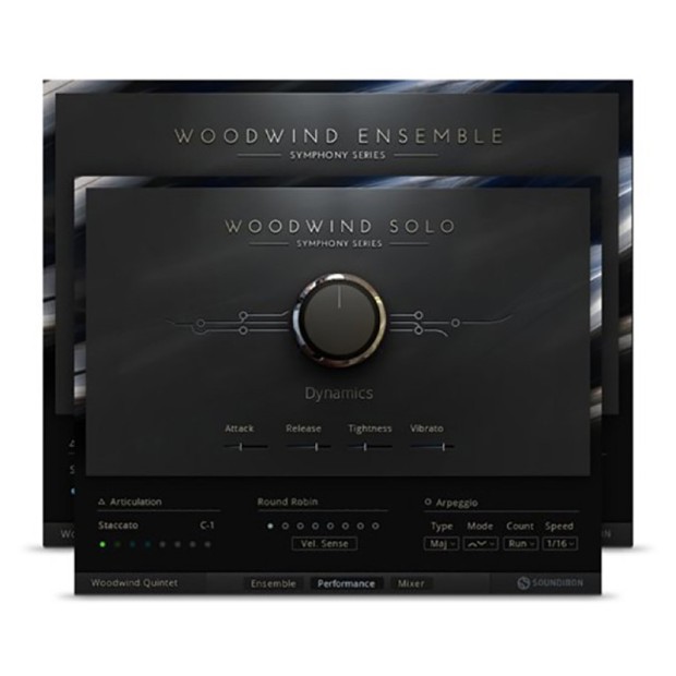 وی اس تی پلاگین نیتیو اینسترومنتز Native Instruments Woodwind Solo