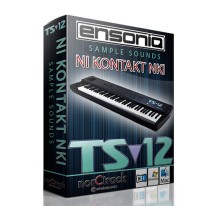 قیمت خرید فروش وی اس تی پلاگین NorCTrack norCtrack ENSONIQ TS12