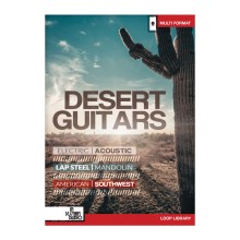 قیمت خرید فروش وی اس تی پلاگین In Session Audio In Session Audio Desert Guitars