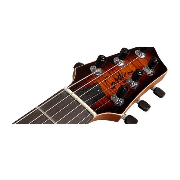 گیتار الکتریک گودین Godin LGX-SA AAA