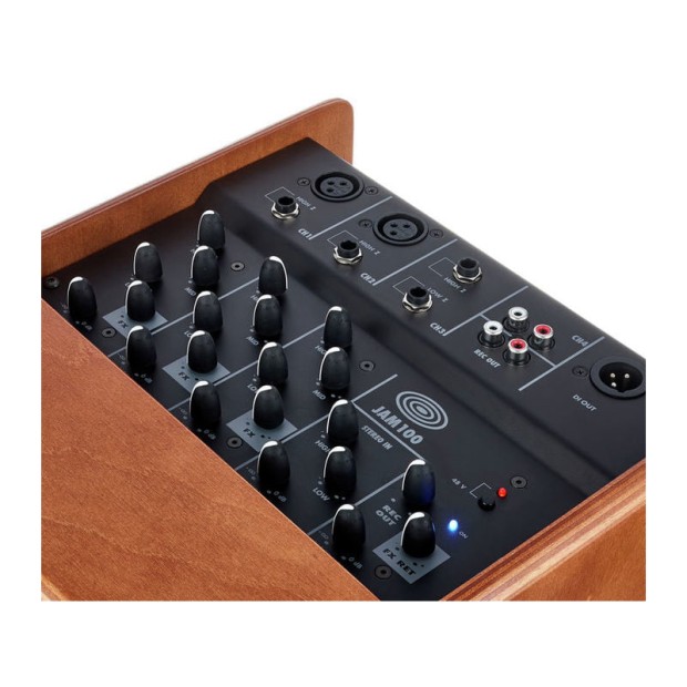 آمپلی فایر گیتار شرتلر Schertler JAM 100 Wood