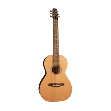 گیتار آکوستیک سیگال Seagull Coastline Cedar Grand