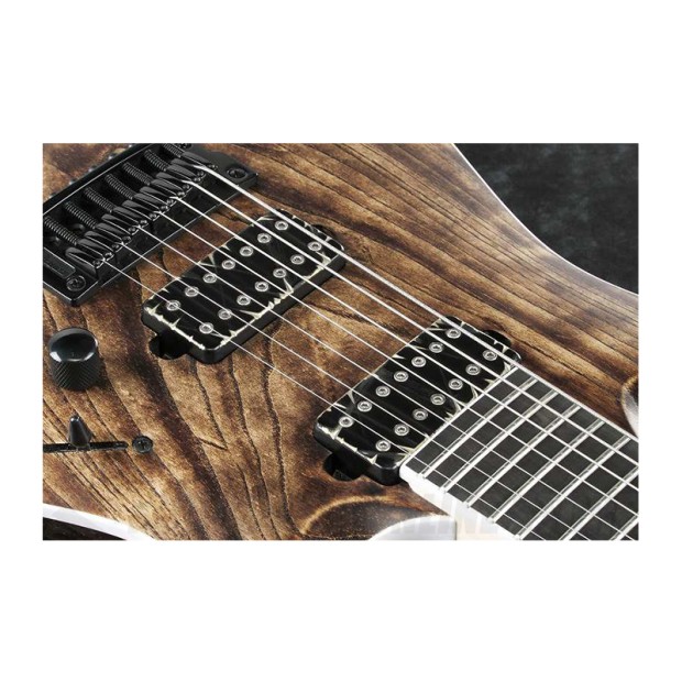 گیتار الکتریک آیبانز IBANEZ RGAIX7U-ABS